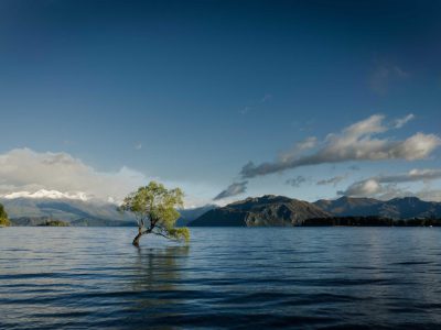 Repellat assumenda debitis voluptate sint consectetur